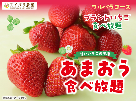 スイパラでいちごの王様「あまおう」が食べ放題！さらにいちごを贅沢に使用した期間限定スイーツも♪2/14からの国産ブランドいちご食べ放題第２弾は「あまおう食べ放題」