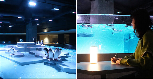 都市型水族館『AOAO SAPPORO』、「日本郵便」とコラボレーション！「人を、生物を、想う『水族館の手紙』」を開催