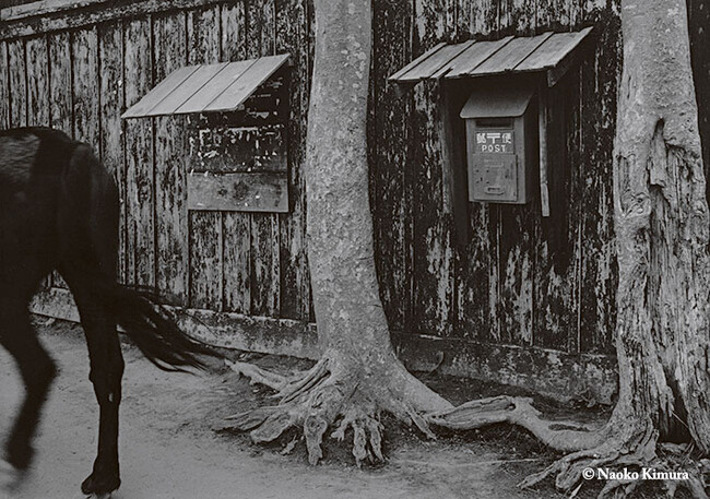 「没後50年　木村伊兵衛　写真に生きる」を2024年3月 東京都写真美術館にて開催いたします。