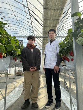 ささはら菜園さんと菓匠彩花苑のコラボレーション ささはら菜園さんと菓匠彩花苑のコラボレーション