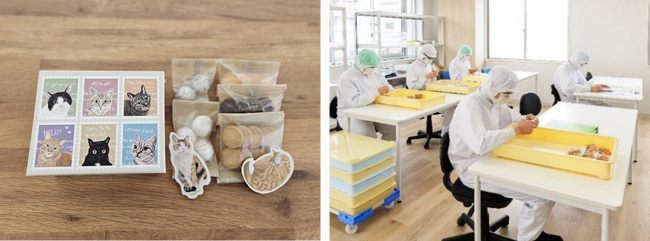 パーソルエクセルアソシエイツ、2月22日“猫の日”に新登場！障害がある社員の手作り『ねこモチーフのクッキーアソートBOX』を販売開始