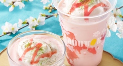 ＼おいしさ満開／　ドトールコーヒーショップで春を先取り！　2月15日より桜メニューを発売