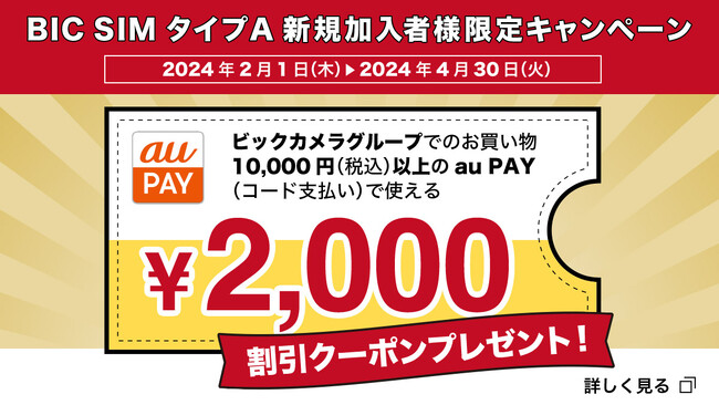 【BIC SIM】タイプA（au回線）お申込み限定でau PAY2,000円引きクーポンプレゼント
