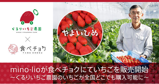 mino-lioが食べチョクにていちごを販売開始