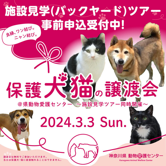 保護犬猫の譲渡会＠県動物愛護センターを開催します～施設見学ツアー同時開催～