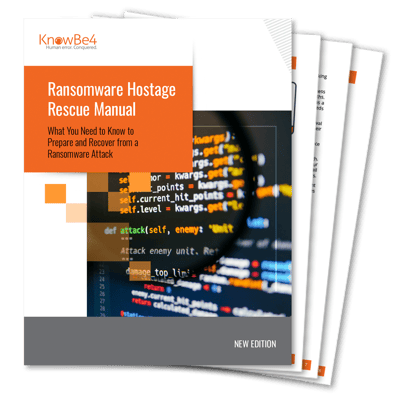 ランサムウェア攻撃の感染原因と進行段階別対処法を解説するマニュアルを提供開始