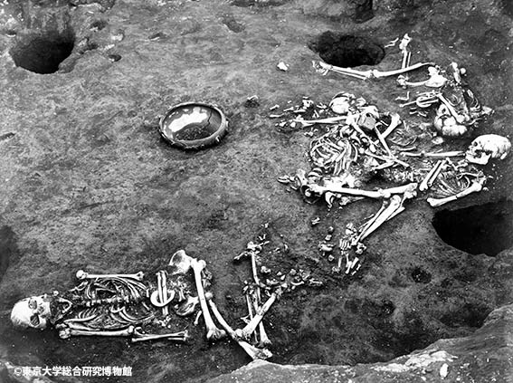 新潟医療福祉大学】「縄文時代の姥山貝塚の５体の人骨の謎に迫る」シンポジウム　３月１０日(日)に千葉県・市川考古博物館と共同開催