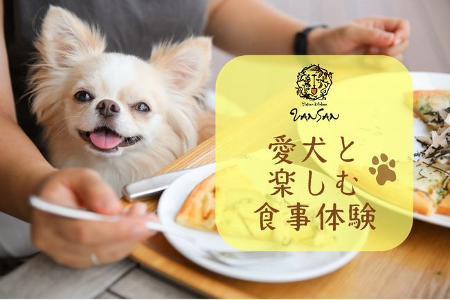 Italian Kitchen VANSAN で愛犬とのペットフレンドリーな食事体験を！2024年2月3日(土)より 25店舗でワンちゃん用メニューが登場！