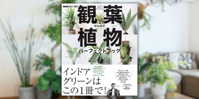 熱帯植物栽培家・杉山拓巳さんの『観葉植物 パーフェクトブック』３月18日発売決定・好評予約受付中！
