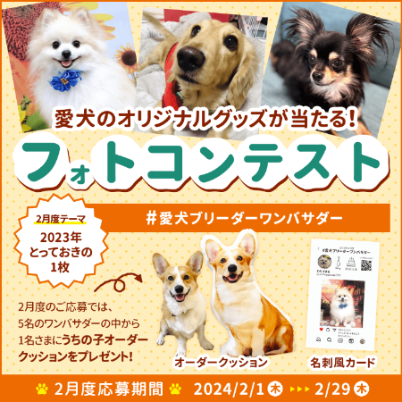 現在開催中の、愛犬のオリジナル名刺がもらえる「#愛犬ブリーダーワンバサダー」フォトコンテスト。2月度のワンバサダーには、愛犬のお好きなお写真でつくれるオリジナルクッションをプレゼント！