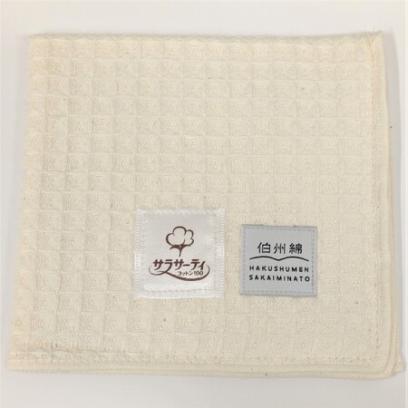 鳥取県境港市と小林製薬の事業共創をコンサルティング