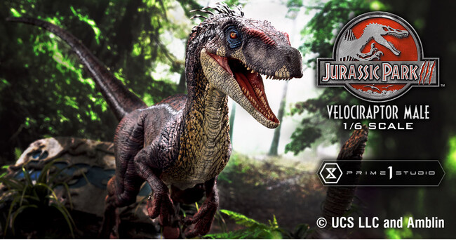 映画『ジュラシック・パーク 3』から、雄のヴェロキラプトルが1/6スケールのスタチューになって登場