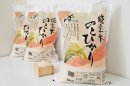 能登ひかり 能登ひかり