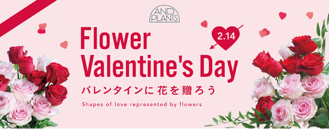 観葉植物・花のD2Cブランド「AND PLANTS」が、バレンタインギフト特集ページを公開！”世界でいちばん花を贈る日”とされる2月14日に、海外で主流の「フラワーバレンタイン」をご提案