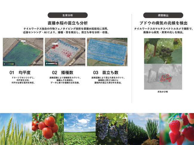 農作物の生育管理手法の確立へ