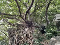 雲仙天草国立公園【天草エリア】の魅力に触れる・体験できる観光コンテンツを一斉販売開始！各コンテンツをダイジェストで観ることのできるプロモーションムービーも一斉リリース