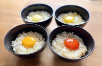 JR大阪駅に幻の卵屋さんが2/14〜2/27まで出現!