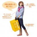 「春の新柄」の着こなし。 「春の新柄」の着こなし。