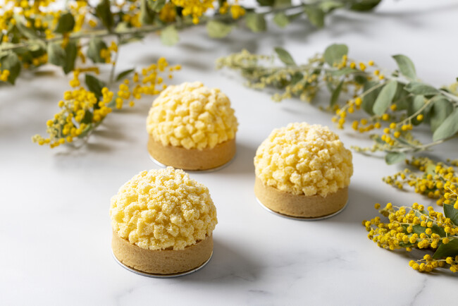 女性パティシエが考案したミモザをモチーフにしたケーキや、全皿ミモザイエローのコースなど　3月8日「ミモザの日（国際女性デー）」に合わせたメニューを期間限定提供