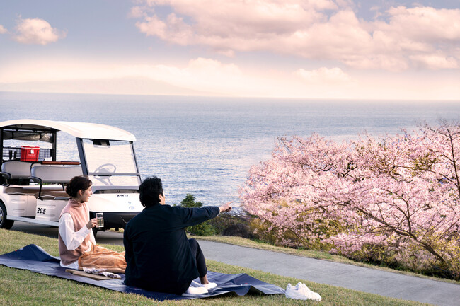 【川奈ホテル】早咲きの寒桜や河津桜、大島桜、染井吉野、八重桜まで。桜を見ながら絶景のゴルフコースを電動カートで周遊する「お花見クルーズ」を販売【販売期間】2024年2月3日(土) ～ 4月7日(日)