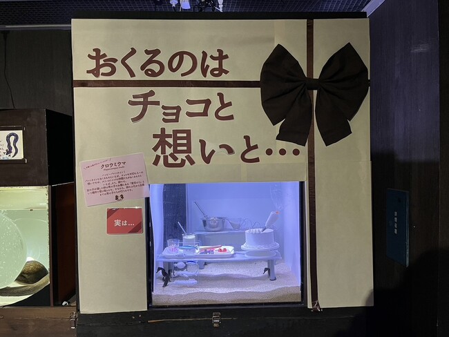 【バレンタインデーに贈る】愛を育む伊勢シーパラダイスのふれあい体験