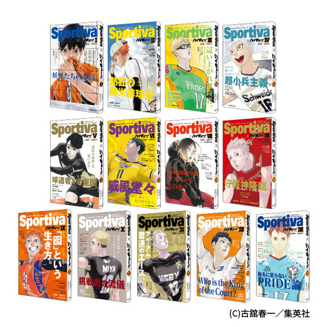 JUMP j BOOKS 創刊30周年記念『ハイキュー!! ショーセツバン!!』フェア、全国参加書店にて開催