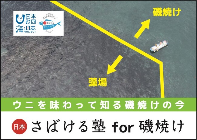 磯焼けってどうなるの？藻場ってなに？ウニを通して磯焼けを学ぶ「日本さばける塾 for 磯焼け」開催決定！