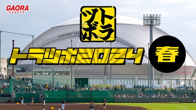 連覇を目指す阪神タイガースの春季キャンプを独自の切り口でお見せします！『トラツボ2024春』2月9日（金）放送スタート！