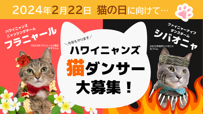 ２月22日は『猫の日』スパリゾートハワイアンズが「スパリゾートハワイニャンズ」に変身！