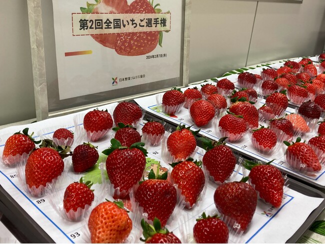 《第２回 全国いちご選手権》 埼玉県「あまりん/市川いちご園」が最高金賞を獲得！2年連続で埼玉県「あまりん」がNO.1に！