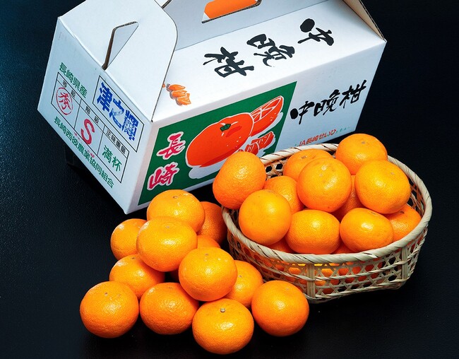 『豊洲市場ドットコム』豊洲千客万来 直営店にて、「ＪＡ長崎せいひ」の協力による「柑橘即売会」を実施します