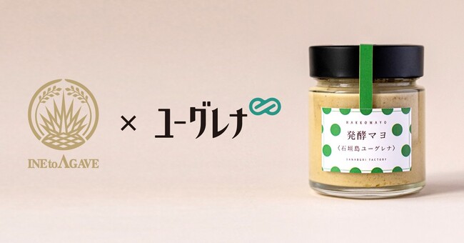 稲とアガベ×ユーグレナ社　共同開発商品　栄養豊富な石垣島ユーグレナと酒粕をつかった植物性のマヨネーズ風調味料「発酵マヨ＜石垣島ユーグレナ＞」を発売