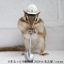 展示作品2 展示作品2