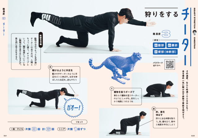 【新刊】今年こそ痩せたい…をもう諦めてしまったあなたへ。「楽しく続かせる天才」現役保育士てぃ先生の『猛獣ストレッチ』2月16日発売！