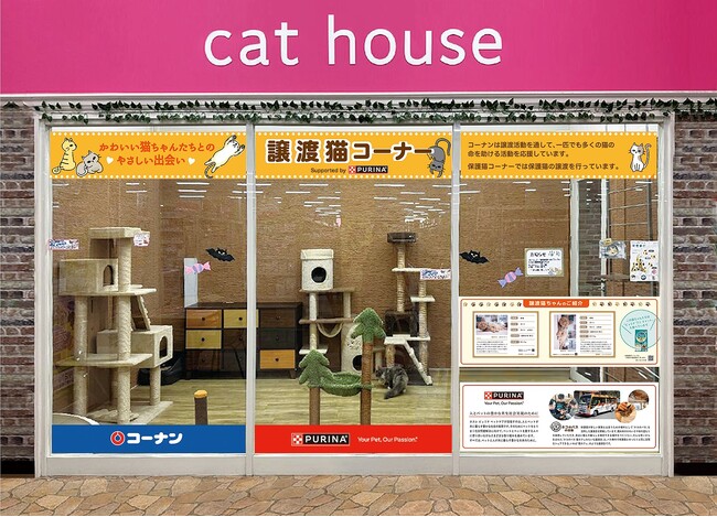 殺処分ゼロを目指す中、引き取り手が見つかりづらい「成猫（おとな猫）」専用の譲渡スペースを2月22日（木）猫の日より、コーナン堺高須店に常設開始