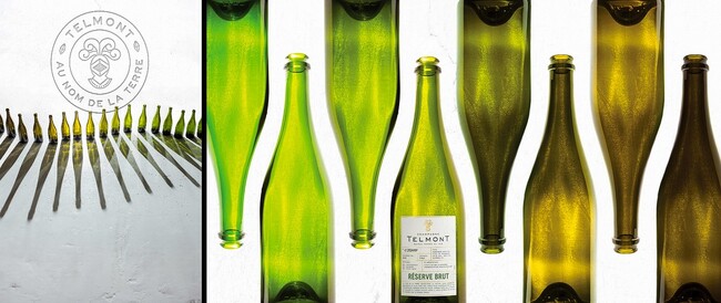 シャンパーニュ業界で最も精力的にサステナブルに取り組むテルモン“19万3000色のグリーン”プロジェクト始動！