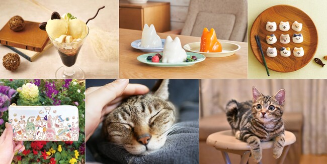 2月22日は「猫の日」！東京ソラマチ(R) 猫の日フェア