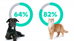 グローバルで実施した「飼い主のいないペットの現状把握プロジェクト」
日本におけるペット（犬・猫）に関する調査データ初公開