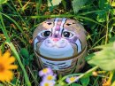対馬のお茶入り とらやま缶/税込価格: 2,700 円 対馬のお茶入り とらやま缶/税込価格: 2,700 円
