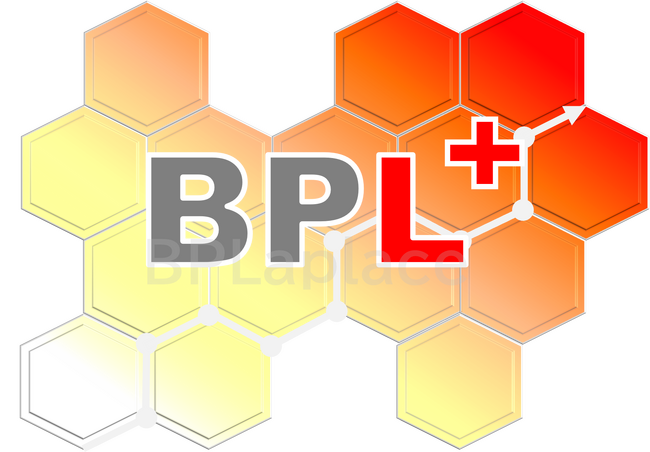 オールスルーBPR！業務改善の未来が変わる新システム「BPL+」ローンチ！