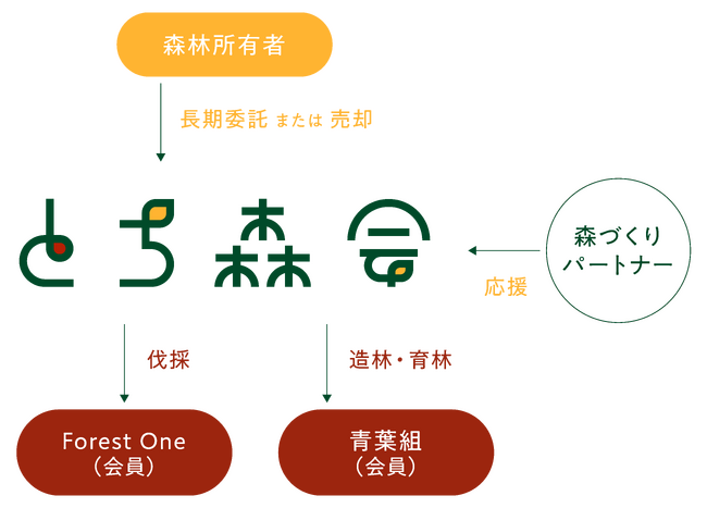 栃木県にて木材供給と「カーボンニュートラル」・「ネイチャーポジティブ」に資する新たな森づくり体制を構築、新法人を設立しました。