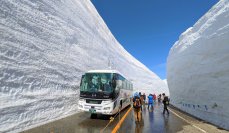 富山県と長野県を結ぶ「立山黒部アルペンルート」、「2024 立山黒部・雪の大谷フェスティバル」を2024年4月15日(月)から開催！