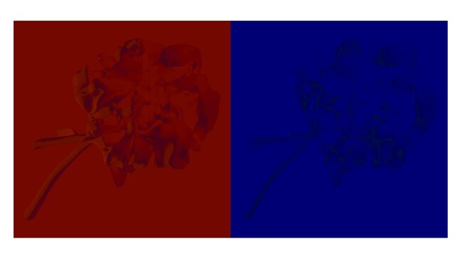 アーティスト中西伶の新作展「floweroflife.obj」を銀座 蔦屋書店、京都 蔦屋書店にて2月17日（土）より同時開催。自身の代表シリーズを再解釈した立体作品を発表。