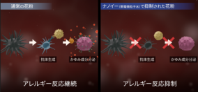 初めてナノイー（帯電微粒子水）技術による花粉アレルギー反応の抑制効果を細胞で実証※1