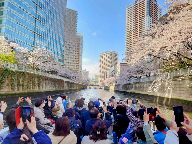 “見上げる”新感覚のお花見を。　　　　　　　　　　　　　　　　「目黒川お花見クルーズ」3/20～4/7開催