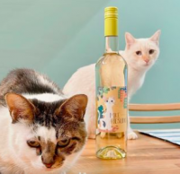 ネコ好きさん専用ワイン！？「ミケリースリング」で幸福感、寄付つきで猫の日(2月22日)に向けて限定4,000本販売