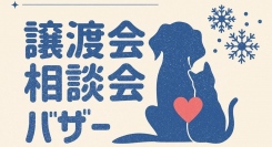 行き場のないワンコを、温かい家庭に届けたい！“ワンちゃんホテル”こと湘南鎌倉クリスタルホテルで、予約不要の「譲渡会」が2024年2月25日に開催