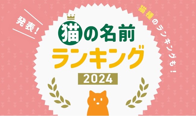 2024年最新版！「猫の名前＆人気猫種ランキング」