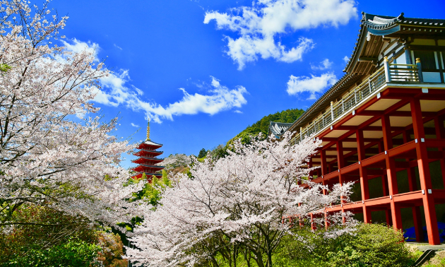 【基山町】お墓の問題解決に挑戦。『エータイの永代供養墓』を本福寺が導入