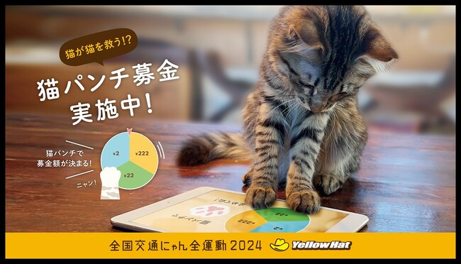「イエローハット 全国交通にゃん全運動」は今年で６年目！猫パンチで集まった金額をイエローハットが猫の保護・動物愛護団体に寄付！